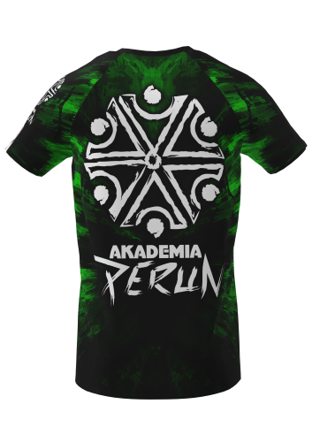 Koszulka reglan akademia meska tyl.png