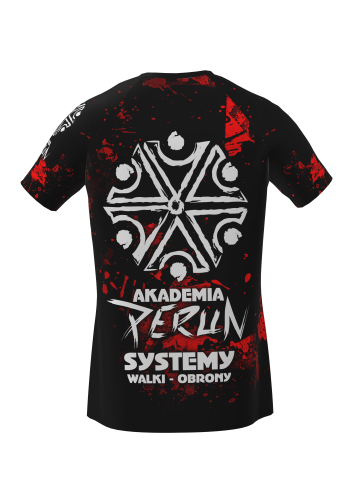 Koszulka reglan tyl.png