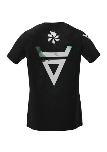 Koszulka reglan tyl.png