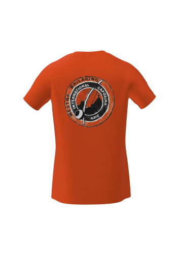 Koszulka reglan meska M logo malowane pomaranczowa Tyl_Default Colorway.png