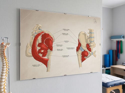 Tablica B1 biodro - wiz papier.jpg