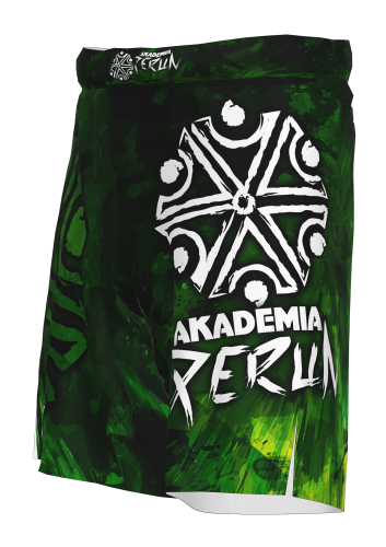 Spodenki Akademia meskie 3-4.png